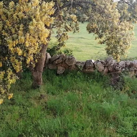 Casa Namaste - Ortigosa del Monte